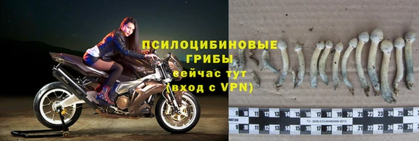 apvp Алексин