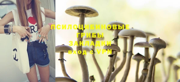 apvp Алексин