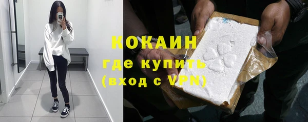 apvp Алексин