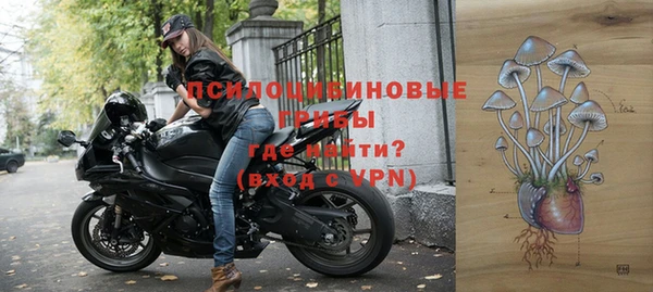 apvp Алексин
