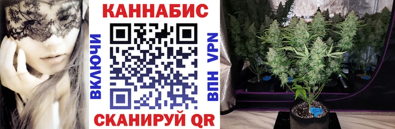 Канабис планчик  Дно 